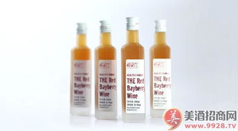 湘西風(fēng)味，梅香醉人——靖州湘百仕楊梅酒產(chǎn)品展示